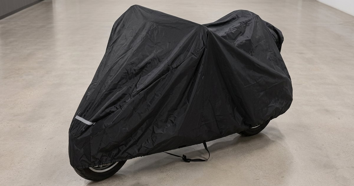 Mika's Harley-Davidson Tri Glide